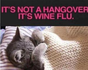wine flu